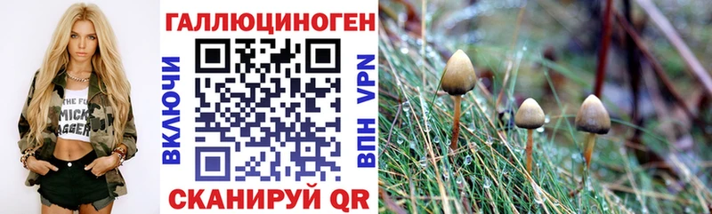 купить  сайты  Спасск-Дальний  Галлюциногенные грибы Magic Shrooms 