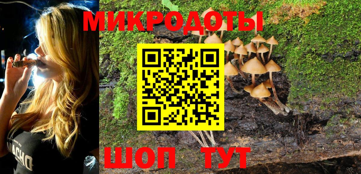Псилоцибиновые грибы Psilocybe Спасск-Дальний