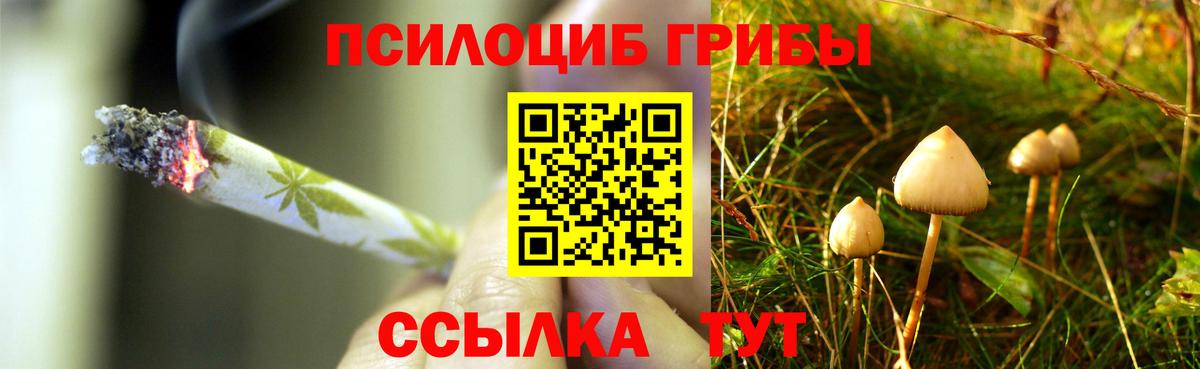 Спасск-Дальний  где купить наркотик  Вход с VPN  Галлюциногенные грибы Magic Shrooms 